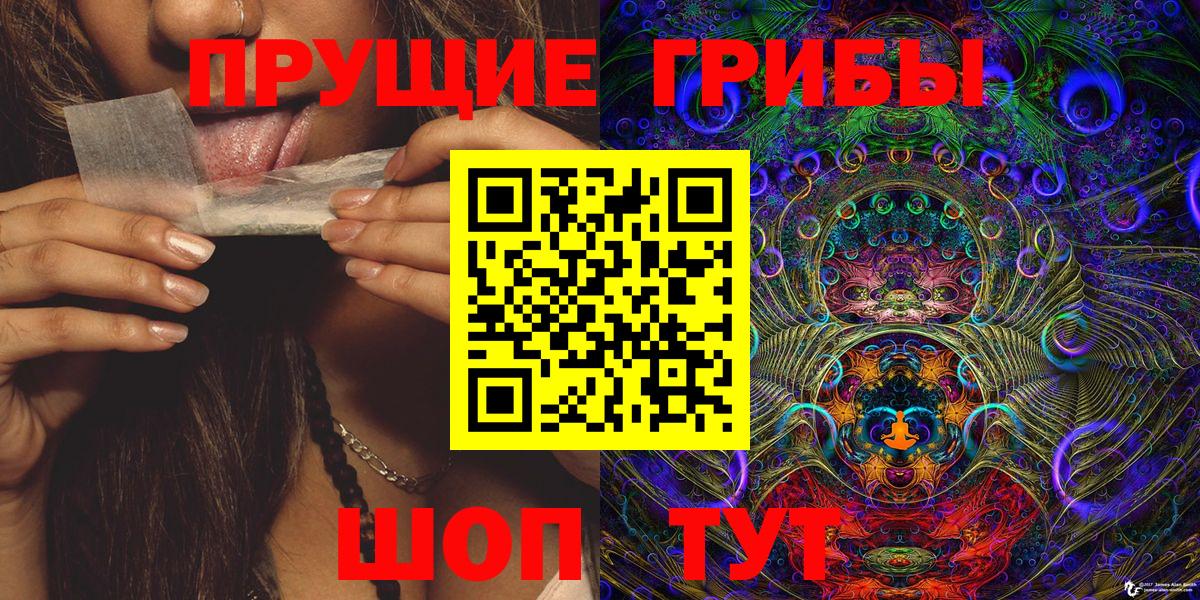 хочу   Галлюциногенные грибы Psilocybe  Вход с VPN  Екатеринбург 